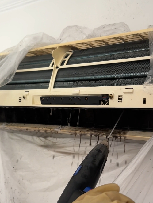 1749455375152354.jpg 微信截圖_20250609154549.jpg